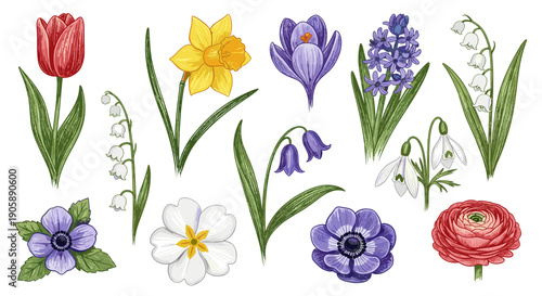 Collection of colorful spring flowers including tulips daffodils and crocuses
