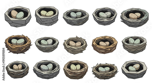 Collection of various bird nests with eggs in different styles and materials