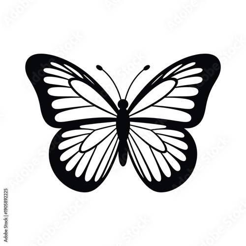 A detailed black and white illustration of a butterfly with open wings