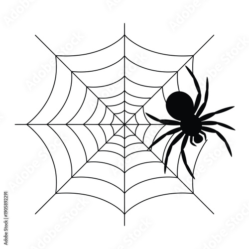 A black spider rests within a detailed circular spiderweb illustration