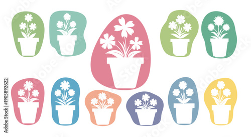 Collection of colorful potted plants with flowers and greenery