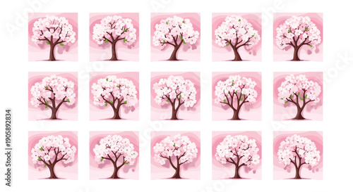 Collection of pink cherry blossom trees with blooming flowers