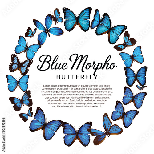 A circular arrangement of vibrant blue morpho butterflies surrounds text
