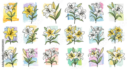 Collection of watercolor floral illustrations with colorful flowers