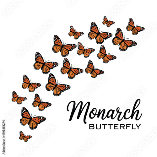 A swirling collection of monarch butterflies forms a semi circular pattern