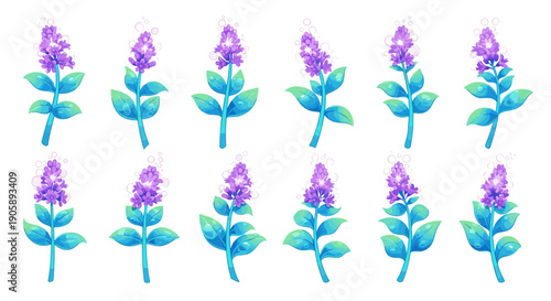 Collection of lavender flowers with green stems and purple blooms
