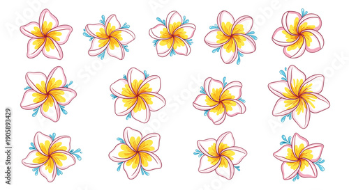 Collection of colorful tropical hibiscus flowers with vibrant petals
