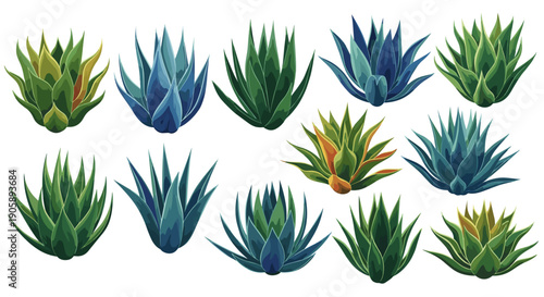 Collection of various succulent plants with green and blue hues