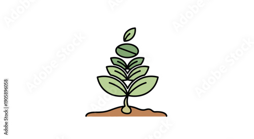 Small green plant growing in soil.