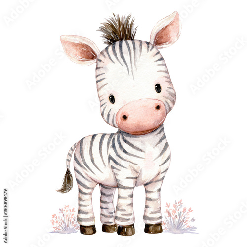 Cute Watercolor Zebra Character with Playful Expression and Details