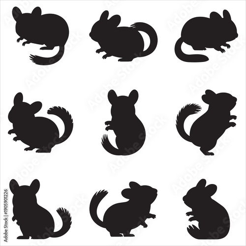 Chinchilla Silhouette Clipart