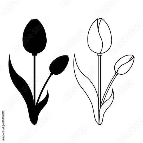 Minimal tulip flower silhouette and outline vector illustration set featuring elegant botanical shapes in black and white style suitable for spring design floral decoration branding logo print