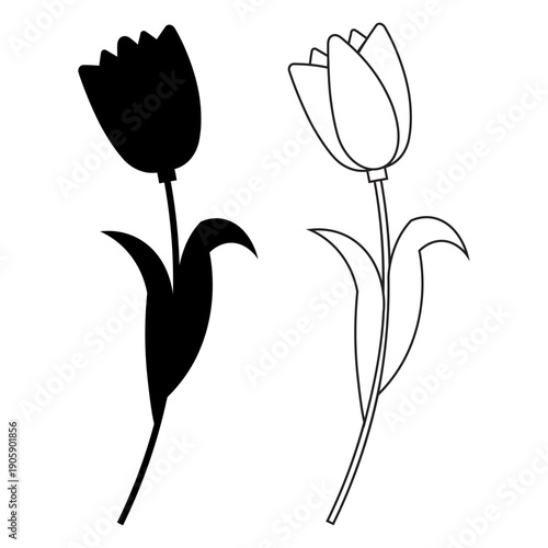 Minimal tulip flower silhouette and outline vector illustration set featuring elegant botanical shapes in black and white style suitable for spring design floral decoration branding logo print