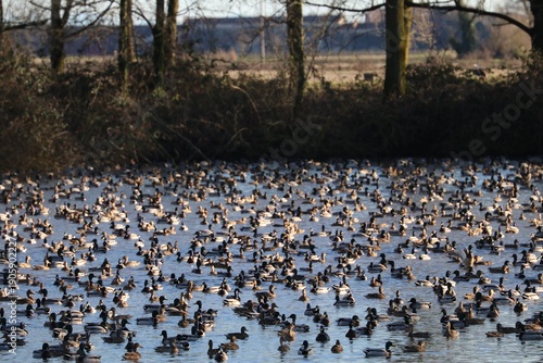 Wallpaper Mural Anatre Torontodigital.ca