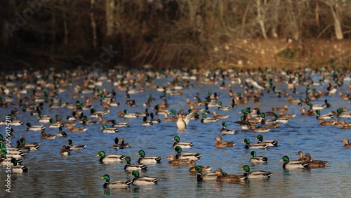 Wallpaper Mural Anatre Torontodigital.ca