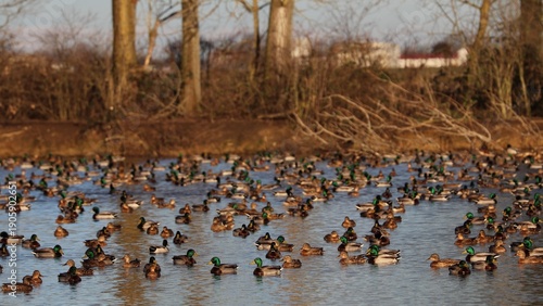 Wallpaper Mural Anatre Torontodigital.ca