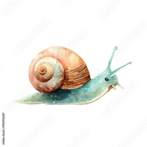 Colorful Snail with Shell on White Background, Hand-Drawn Style