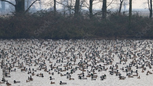 Wallpaper Mural Anatre Torontodigital.ca