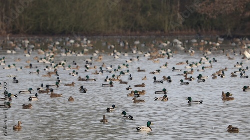 Wallpaper Mural Anatre Torontodigital.ca