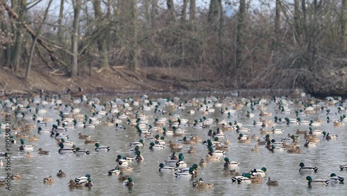Wallpaper Mural Anatre Torontodigital.ca