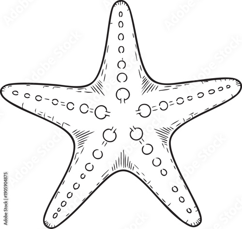 Black and white starfish illustration, isolated on transparent background