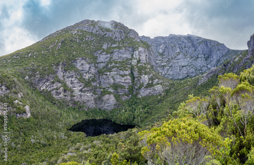 Obraz premium Shaded creek on the way to Mout Murchison, Tasmania