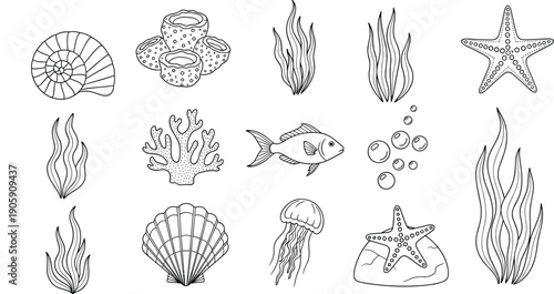 Hand drawn underwater sea life collection featuring fish jellyfish starfish coral shells and seaweed black and white outline vector illustrations for coloring book design