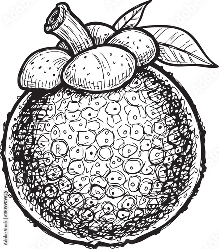 Detailed illustration of a jackfruit with stem and leaves