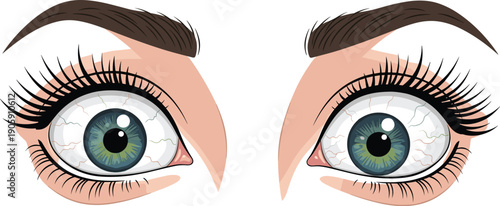 Illustration of Wide-Eyed Human with Bloodshot Eyes and Long Eyelashes Depicting Fear, Surprise, or Shock, Ideal for Medical Education, Horror Designs, and Cartoon Expression