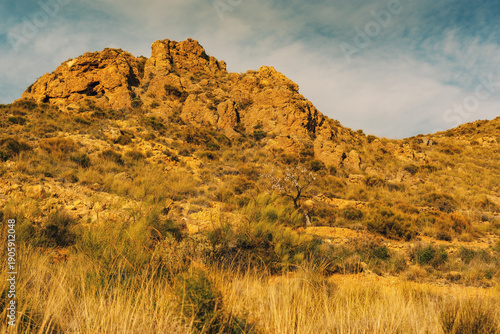 Arid rocky rough landscape with a blooming almond tree and some vegetation under a cloudy sky. Huebro, Almeria, Andalusia, Spain.