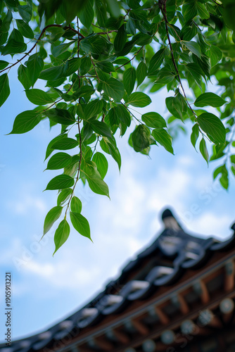 Serene View of Hanok Roof Through Green Foliage