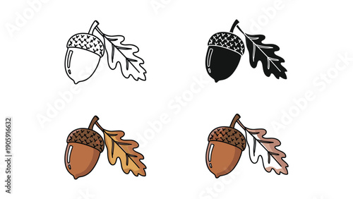 Autumn acorn with oak leaf in different styles: line art, silhouette, and realistic colors.
