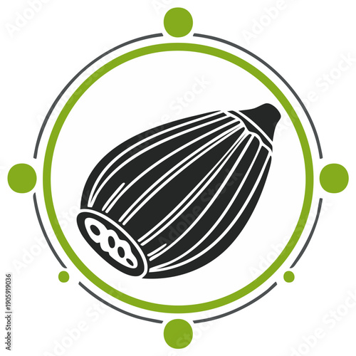 Vector graphics Illustration of cardamom pod inside the circle. Isolated drawing for web design and print