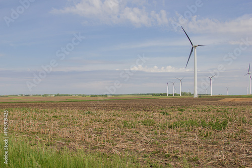 wind turbines in a field