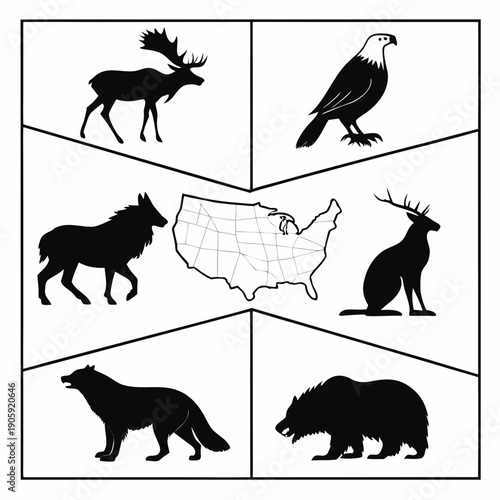 Wild animals of usa Vector