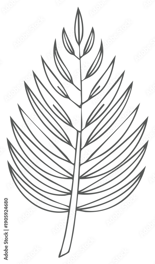 Fototapeta premium Minimalist Line Art Palm Frond Simple Botanical Sketch
