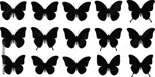 Silhouette illustration of fifteen butterflies in grid layout with varied wing shapes and antennae, vector artwork symbolizing diversity, nature, symmetry, and pattern recognition concepts
