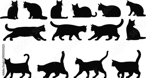 Set of black cat silhouettes in different poses, sitting and walking feline collection, domestic pet kitty shapes, animal vector illustration isolated on white background.