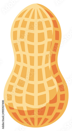Cartoon style peanut in shell illustration, beige and orange colors, snack food