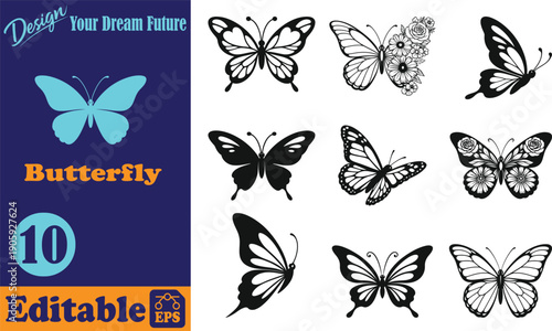 Collection of diverse black and white butterfly on white background