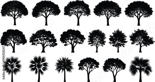 Tree silhouette illustration set, diverse species collection, tropical palm and broadleaf designs, botanical landscape art, black and white artwork