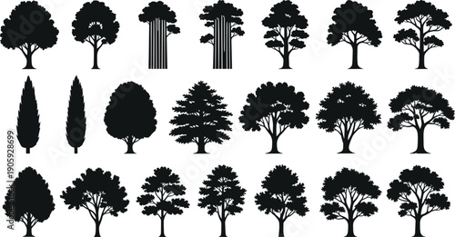 "Collection of twenty diverse tree silhouettes highlighting unique canopy forms, trunk variations, and foliage patterns, perfect for botanical illustration, landscape design, and creative projects"