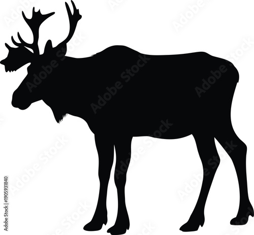 Moose silhouette, Moose outline, Moose shape, Moose icon, Moose profile, Bull moose, Antler moose, Moose animal, Wildlife moose, Forest animal, Wild mammal, Deer silhouette, Elk silhouette, Animal sil