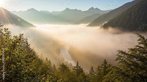 Misty mountain landscape with foggy valley and sun rays