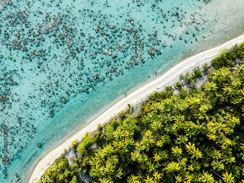 Tetiaroa Atoll – Guardians of the Green Turtles and Seabirds