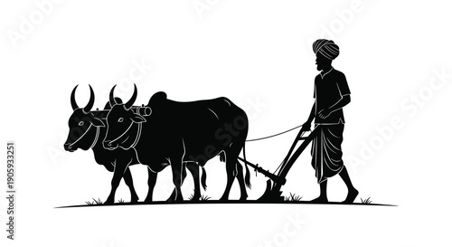 Indian farmer with oxen plowing a field a striking black silhouette