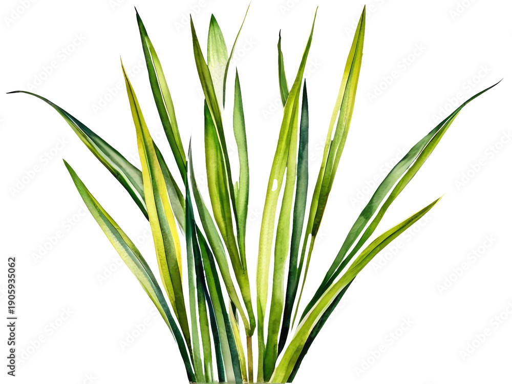 Obraz premium Close-up shot of a small potted plant with vibrant green leaves against a clean white background, ideal for branding or design projects