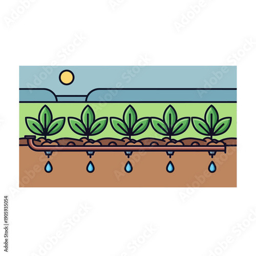 Plants Growing in Soil with Water Droplets.