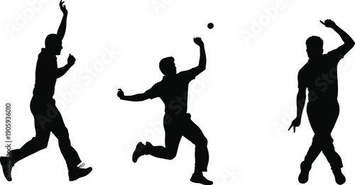 Cricket action silhouette illustration—vector of three expressive players in motion with ball and celebratory poses