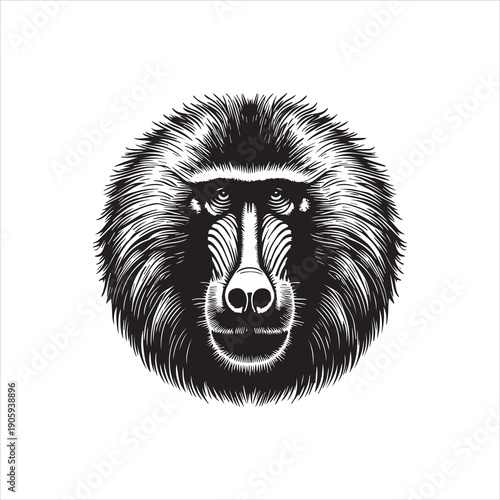A detailed black and white vector illustration of a baboon's face with a logo-style design on a clean white background.